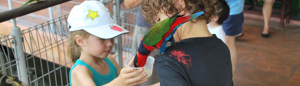 Kinder im Vogelpark Singarpur